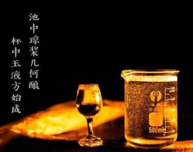 刚开始喝酱香酒喝什么口感好