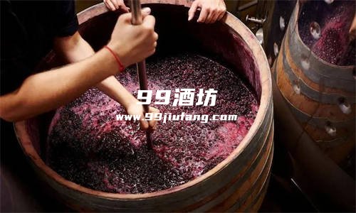 今年酒葡萄价格是多少