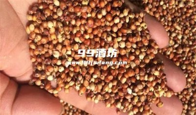 自酿白酒用什么原料最好