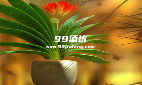 白酒浇花好处和坏处
