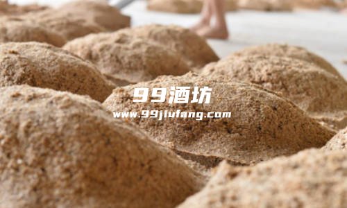 茅台踩曲选人都是选择什么样的人