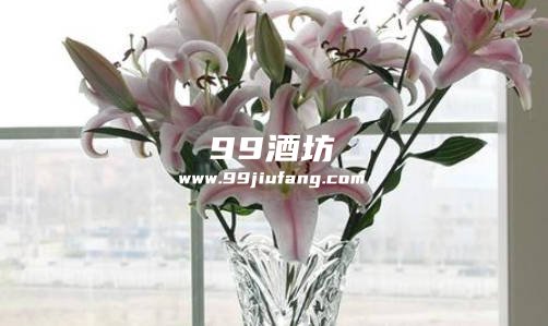 鲜百合花里边放白酒会死吗为什么