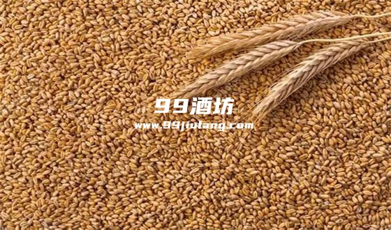 剑南春浓香白酒如何酿造