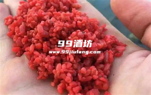 做鱼饵可以直接用白酒吗