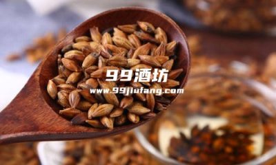 炒麦芽和白酒能一起喝吗