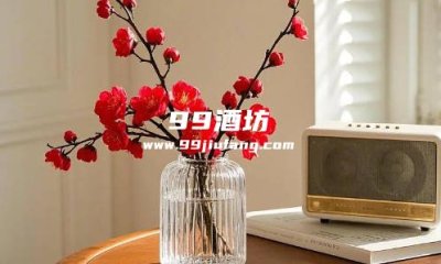 水培梅花用白酒浇会怎么样