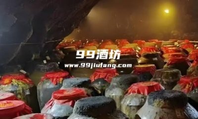 洞藏酒和窖藏酒哪个好
