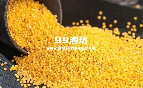 小米白酒可以放多久不坏