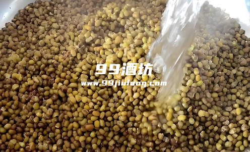 纯绿豆能酿酒吗，好不好喝