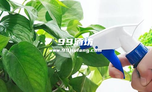白洒兑水可以用来浇花吗，为什么