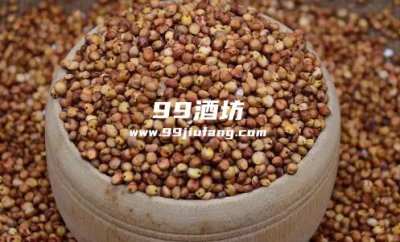 每种粮食酿酒的特点