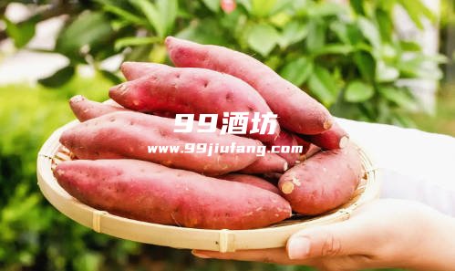 每种粮食酿酒的特点