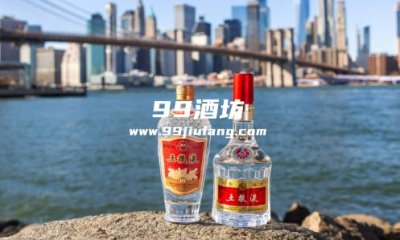 五粮液旗下哪几款系列的白酒好喝