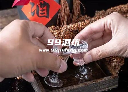 对当代社交饮酒行为的观察