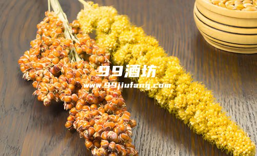 小米酿酒和高粱酿酒的区别在那里