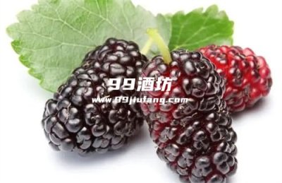 桑葚和白酒一起泡有什么好处？和久久为您介绍