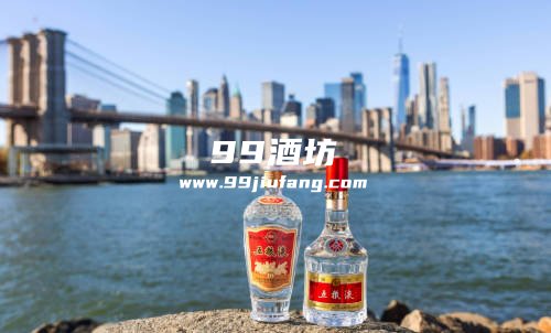 年轻人喜欢喝的白酒品牌有那些 年轻人喜欢喝的白酒品牌有那些