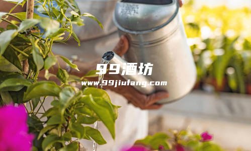 种花能加一点白酒吗，为什么