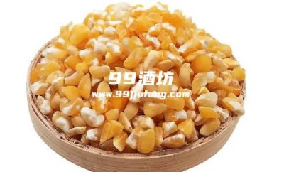 同粮食品种酿造白酒：淀粉结构差异对出酒率及风味的作用