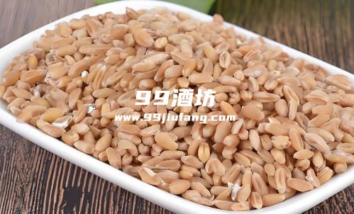 同粮食品种酿造白酒：淀粉结构差异对出酒率及风味的作用
