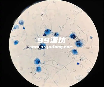 固态发酵白酒的原理是什么？人久久告诉你